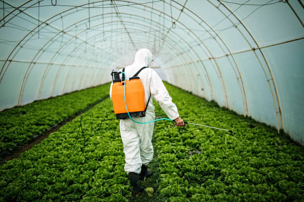 Best Best Pest Control Companies  in Clinton, UT