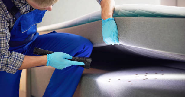 Best Commercial Pest Control Services  in Clinton, UT