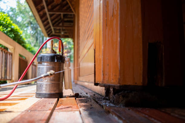 Best Cockroach Control Services  in Clinton, UT