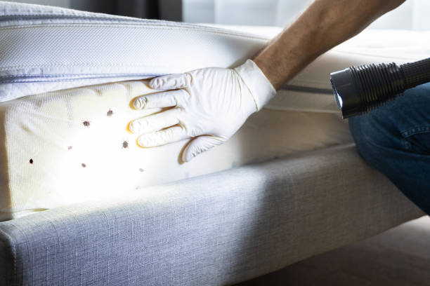 Best Exterminator Services  in Clinton, UT