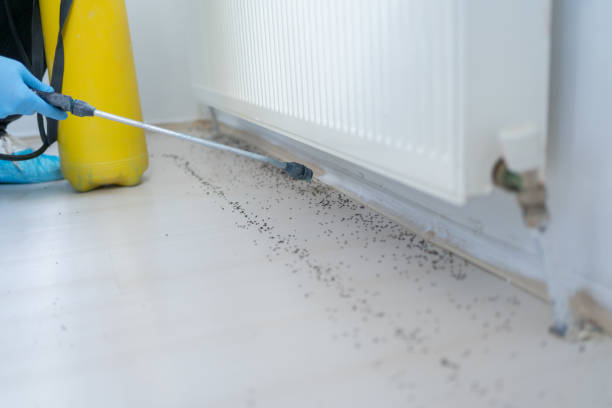 Best Emergency Pest Control  in Clinton, UT