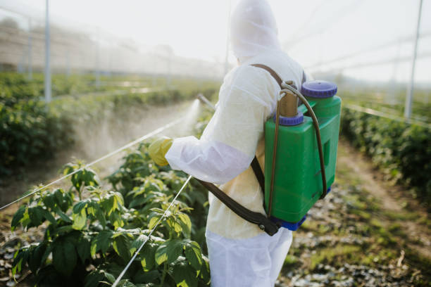 Best Local Pest Control Services  in Clinton, UT